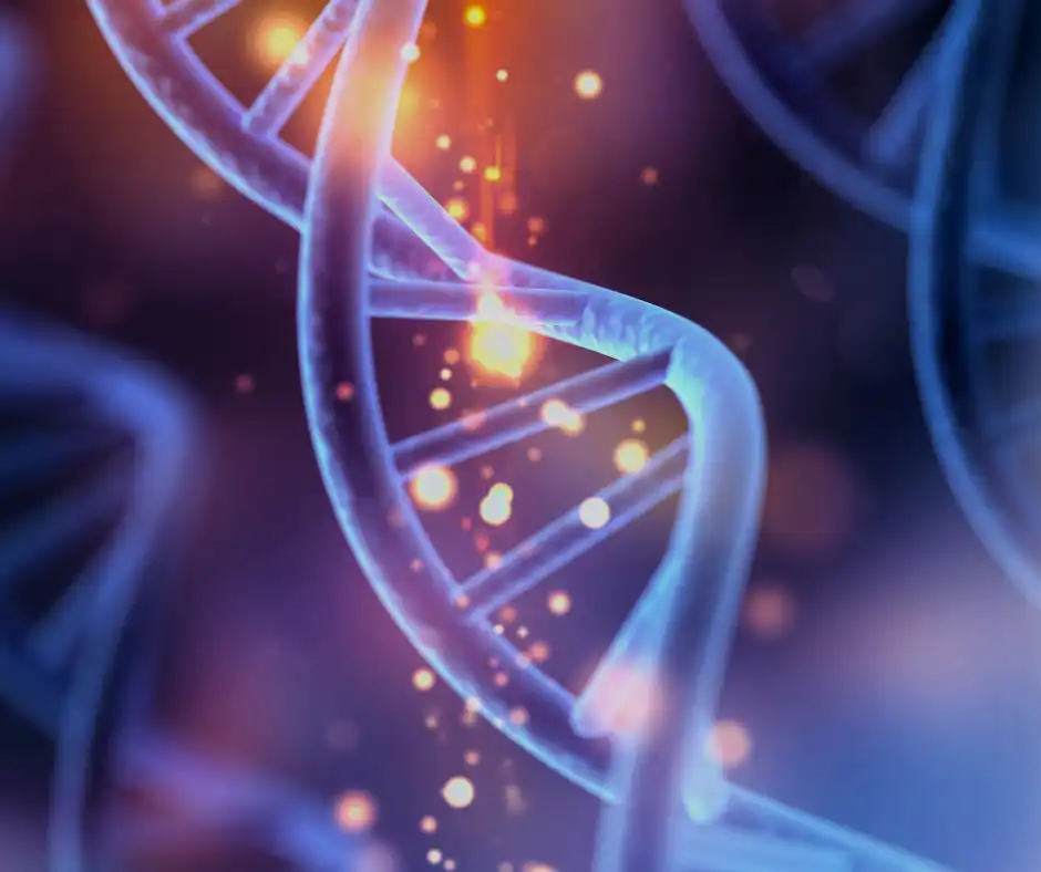 Fibromyalgie : 26 gènes identifiés chez 2,5 millions de participants