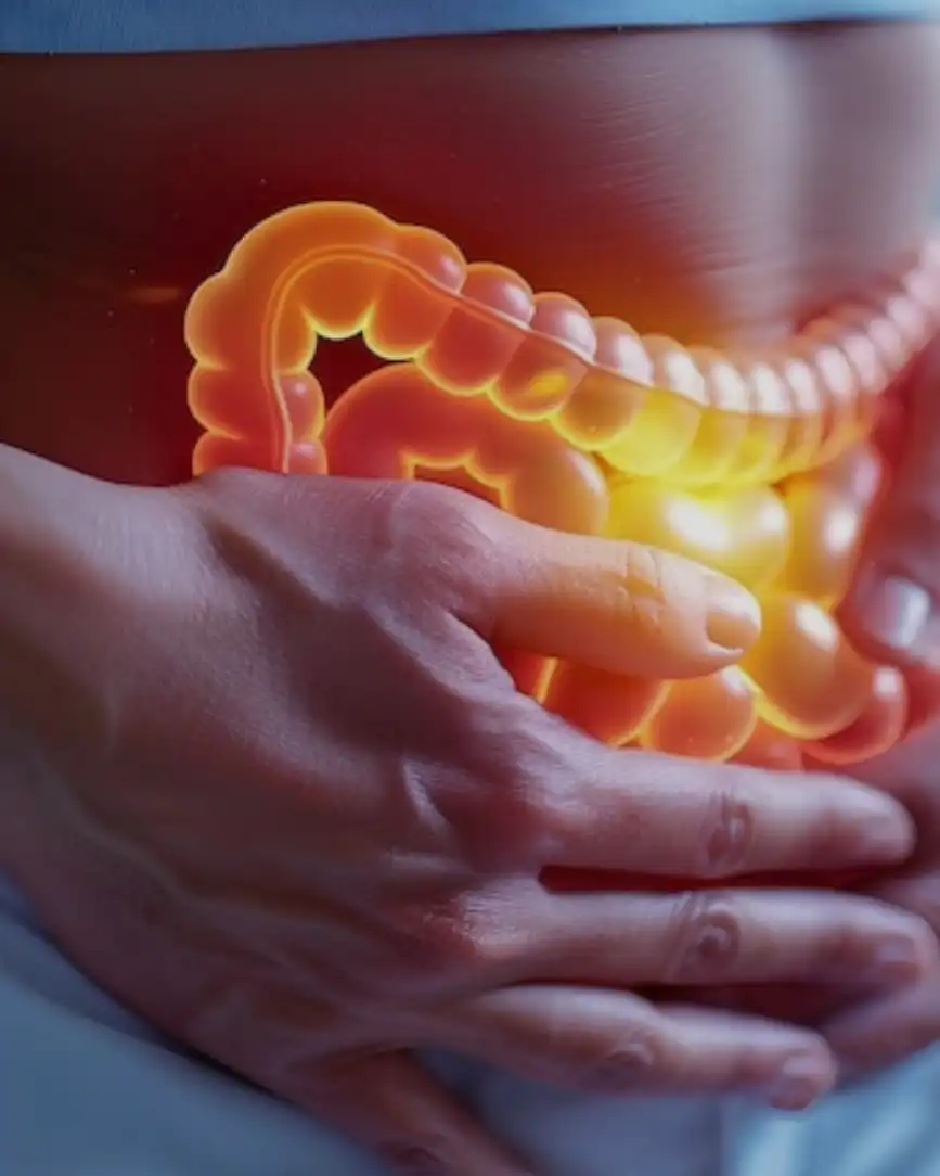 Fibromyalgie, hyperperméabilité intestinale et glutamine