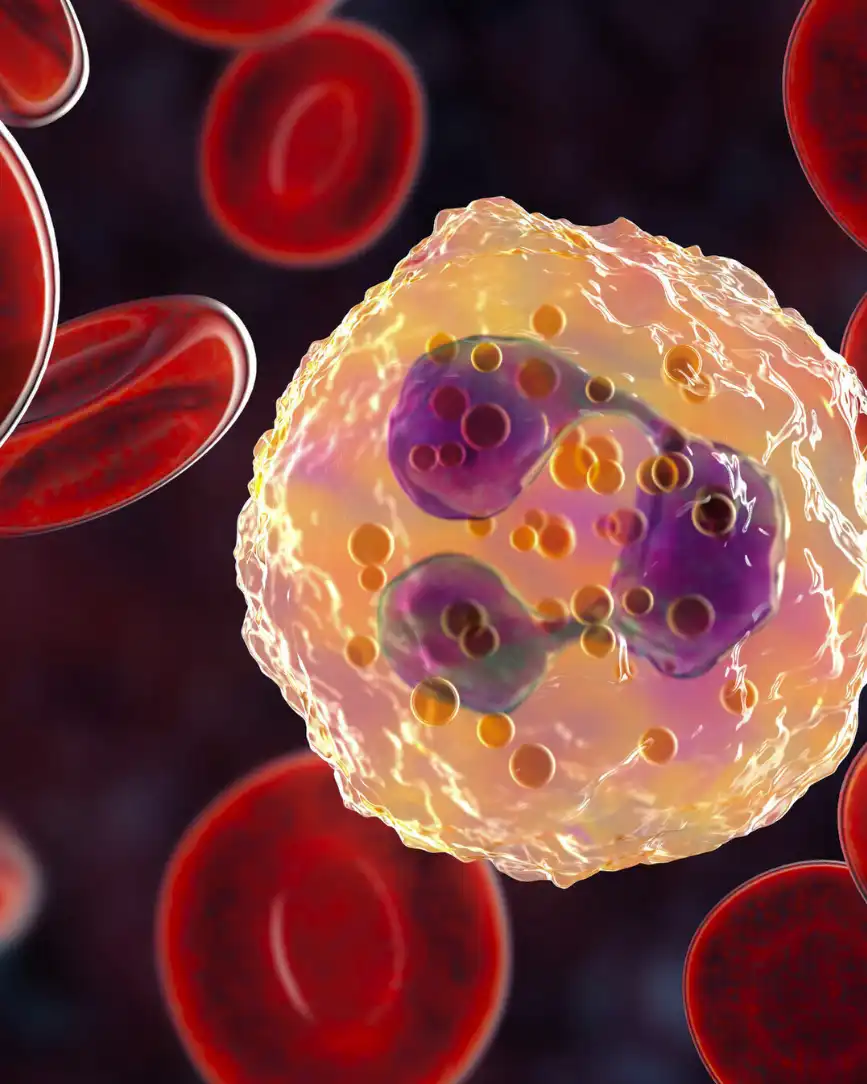 Fibromyalgie : le rôle du système immunitaire confirmé